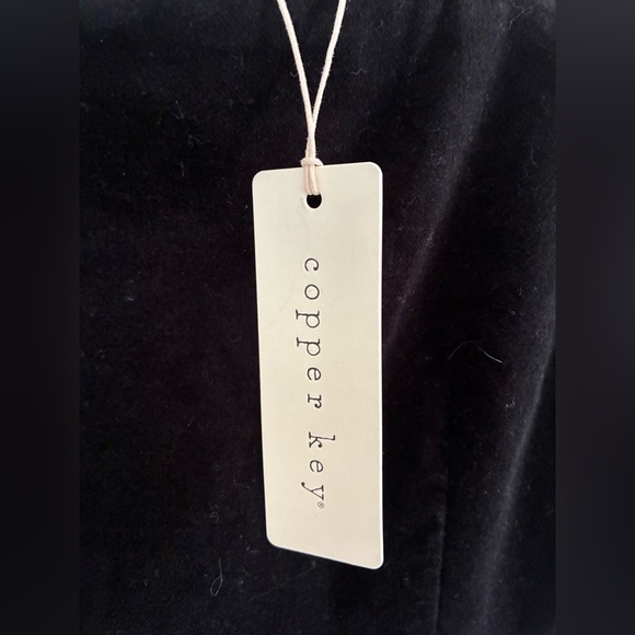 Copper Key Black Velvet Burnout Skater Dress Whimsigoth Goth 90s Small NWT - Picture 8 of 10